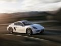 2013 Porsche Cayman (981c) - Ficha técnica, Consumo, Medidas